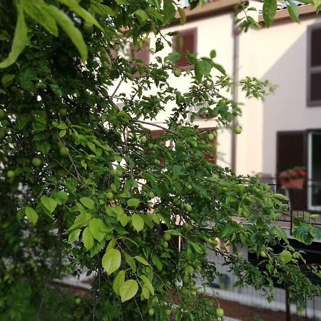 פולה Family Apartment Ingrid מראה חיצוני תמונה