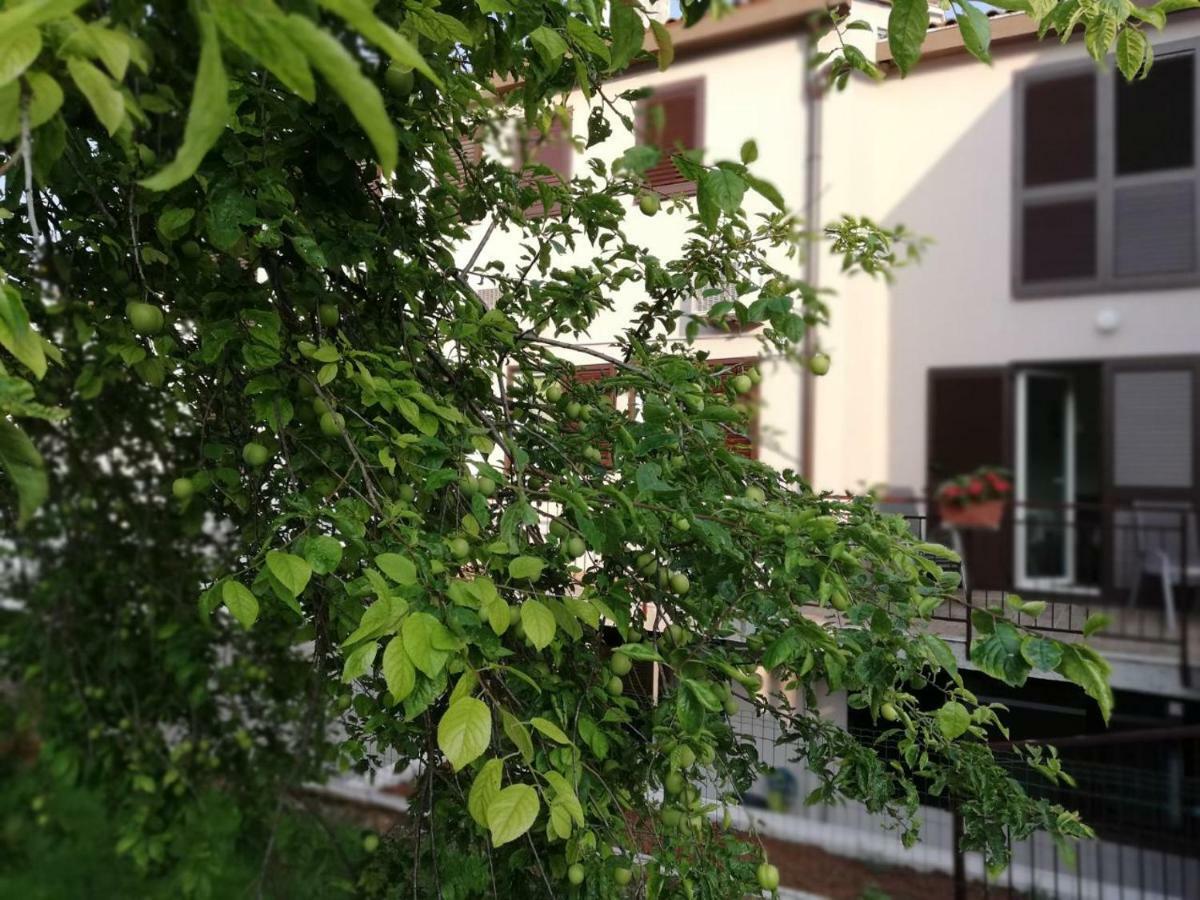 פולה Family Apartment Ingrid מראה חיצוני תמונה